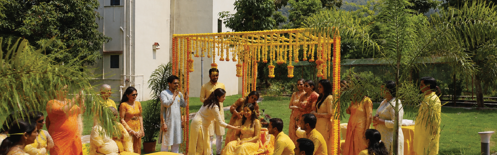 Haldi